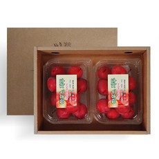 소담한 하우스 햇 자두 1kg(2팩)