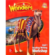 wonders3.1