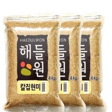 칼집현미