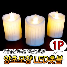 건전지초