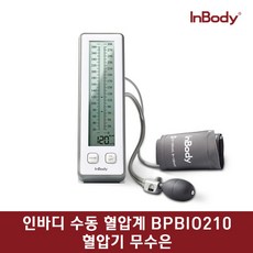 바겐슈타이거인바디