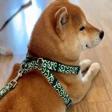 강아지하네스 가슴줄 앞섬방지 당초무늬 산책줄, 그린