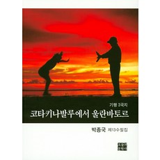 코타키나발루책