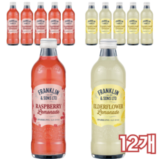 [쿨앤드몰] 프랭클린 2가지맛 라즈베리 레몬 엘더플라워