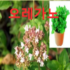 75a2fe8481bc9d9a574f2125e8d12f365a87aec90f6efff3a883946284cd.png