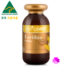 호주코알라몰 스프링리프 레시틴 1200mg 200캡슐 콩추출 인지질, 200정, 1개