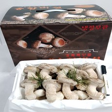 거송향버섯