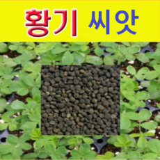 초록마을해바라기씨유
