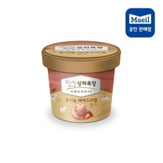 하겐다즈파인트4개