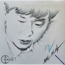 변진섭lp TOP01