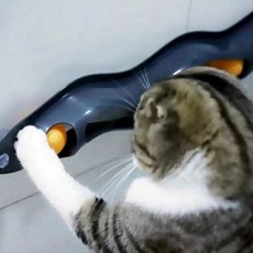 부착형 nC312D84D67 고양이공 움직이는 PET 탁구공 장난감 웨이브, 고양이트랙볼_단일상품, 본상품선택