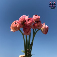 0fc839f848b83c7b0d4b31bc00381c7f6e0670a931335a52a2adb0e9edf0.jpg