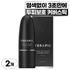 테라픽 헤어 리-터치 커버스틱 8g, 블랙, 2개