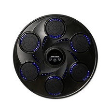 쇼다운 스마트 뮤직 복싱 벽걸이 헤비백