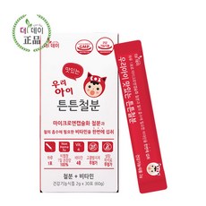 아이철분제