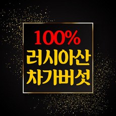 한삼근차가버섯