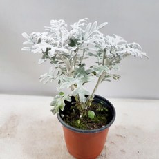 0f5594a960fd16f90f28488e618efe4b54cecc4d3e9d388df7a031f4e4a5.jpg