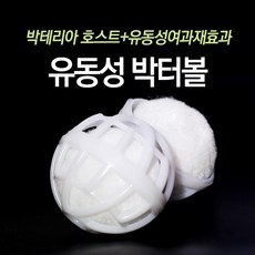 범피럼피볼세척