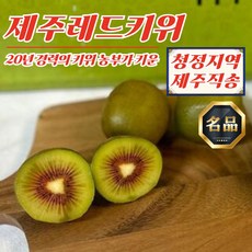 제주도 레드키위 중대과 선물용 3.5kg (50-60과), 1개, 상세페이지 참조