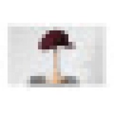 93160ce681e8d81527d2ffb2d76d9bc452c8ba2e5b2b0d4d6eed8eb3b9e0.jpg