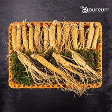 이푸른 [풍기인삼] 6년근 수삼 5호 800g(15-20뿌리), 1개, 800g