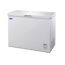 캐리어냉동고300