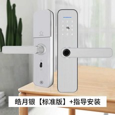직접설치 지문 디지털 도어락 실버 번호키 현관문, 실버 표준