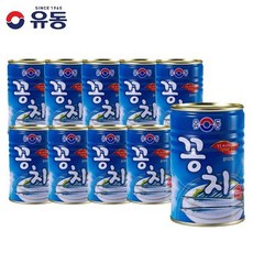 꽁치지마