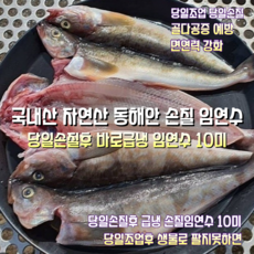 [산지직송] 국내산 자연산 동해안 새벽조업후 당일손질 당일냉동 임연수 손질전원물 2000g 손질후 1300g 10미 1박스