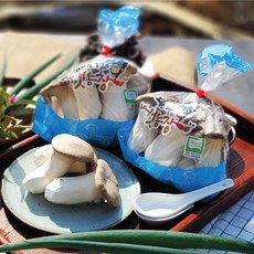 농장직송 무농약 새송이버섯(400g)