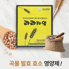 자임rf하이패스