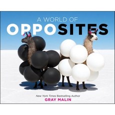 A World of Opposites, Abrams