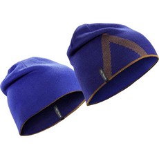 아크테릭스비니