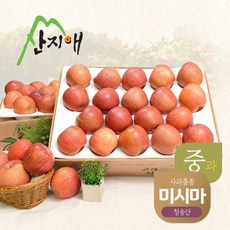 [산지애] 알뜰 못난이사과 9kg, 단품