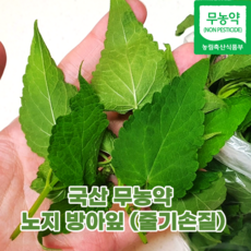 방아잎