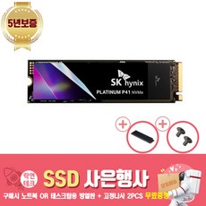 SK 하이닉스 SSD 플래티넘 P41 NVME +사은품증정(고정나사 2PCS + 방열판증정), 1TB, 데스크탑용방열판+고정나사2PCS