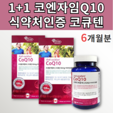 일동코큐텐q100