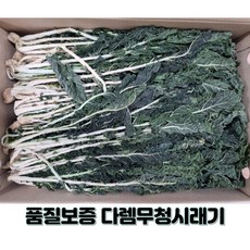 청평역수상레저