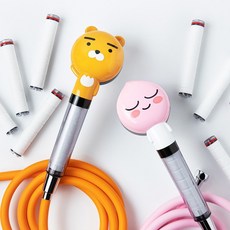 대림연수기