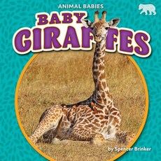 Baby Giraffes Paperback, Bearcub Books