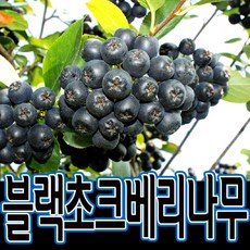 753ccde5b2edbde7c29f5e598395895011e9b1ce60c12790bb81c47a5c39.jpg