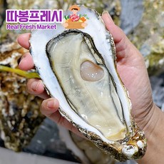 석화 TOP01