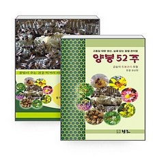 NSBK352531227 새책-스테이책터 [(세트) 양봉 52주+꿀벌 편지-전2권] ---보라-권상헌 지음-농림수산학-20170913 출간-판형 1, (세트) 양봉 52주+꿀벌 편지-전2권