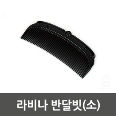 엔틱빗