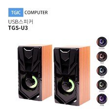 rt19t3007gs