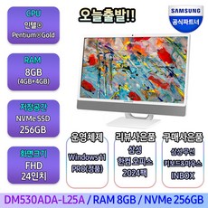 삼성 일체형PC 올인원PC DM530ADA-L25A (인텔 펜티엄 7505 60.5cm WIN11 PRO RAM 8GB SSD 256GB )