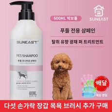 강아지 바디워시 테디비 곰돌이 금모 목욕 전용 목욕액 진드기 탈취 테디 펫 용품, (테디 푸들 전용) 600ml샤워브러쉬 증정, 1개