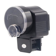 키우기쉬운물고기