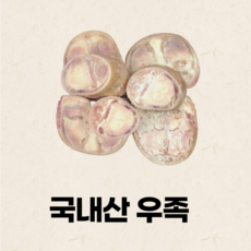 울돌목장족