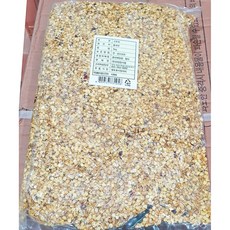  [무료배송]아람들 고추씨 1k X20/대용량/식당/상추모종/꽃씨앗/꽈리고추씨앗/어수리나물, 1개 